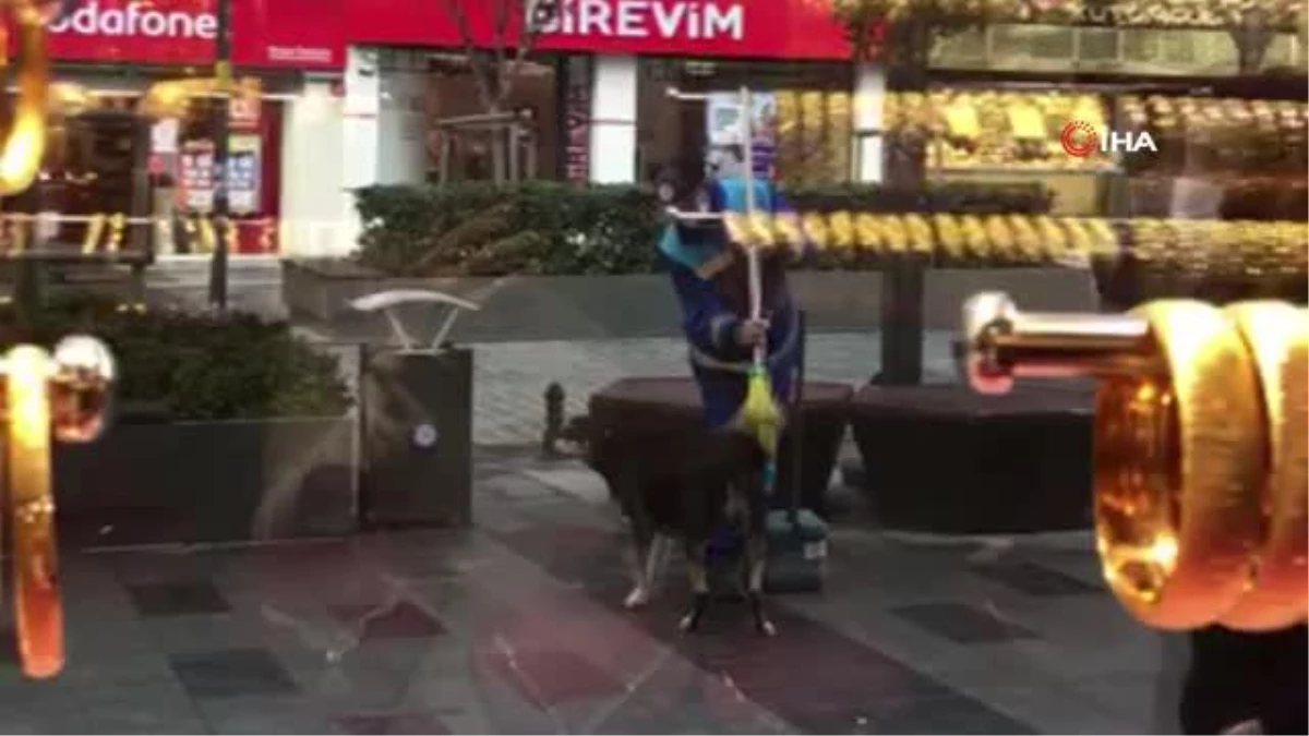 Arnavutköy\'de yürek ısıtan görüntü...Temizlik işçisi fırçası ile sokak köpeğinin üzerini temizledi