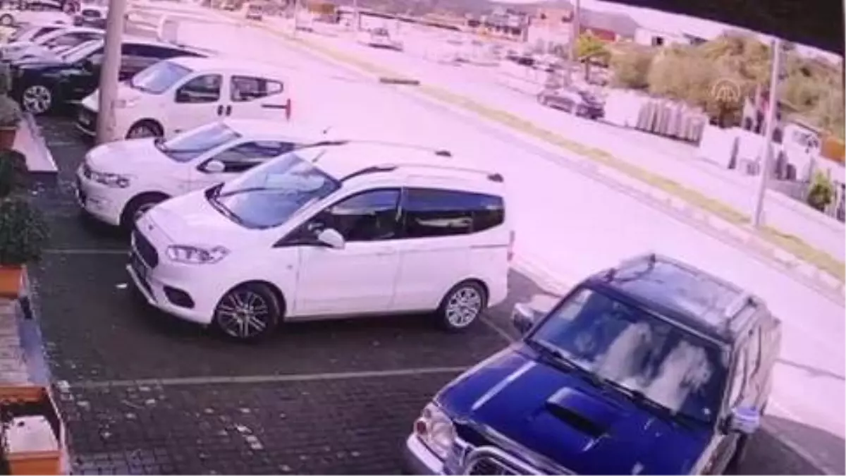 Son dakika! Bodrum\'da otomobilin köpeğe çarptığı anlar güvenlik kamerasında