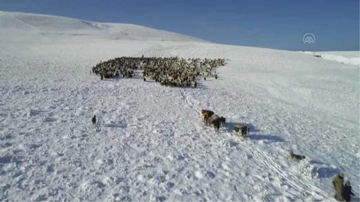 Çobanlar aniden bastıran kar ve tipi nedeniyle zor anlar yaşadı