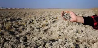 Konya Ovası'nda kuraklık alarmı! Yağışlar olmazsa 2021'de kayıplar yaşanacak