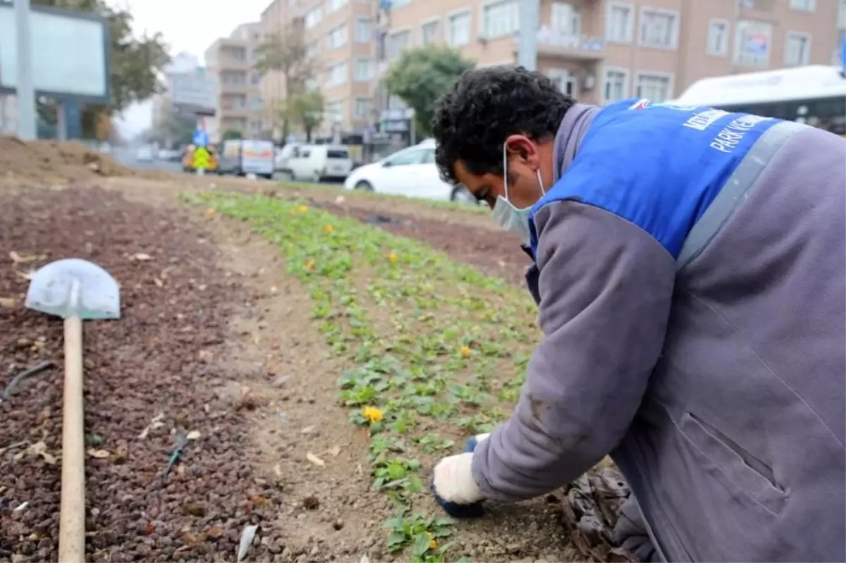 Melikgazi Belediyesinin peyzaj çalışmaları devam ediyor