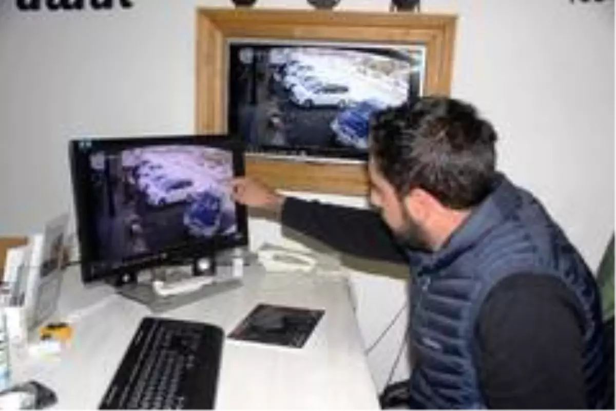 Son dakika haber: Vicdansız sürücü, köpeği ezip yoluna devam etti...O anlar kamerada