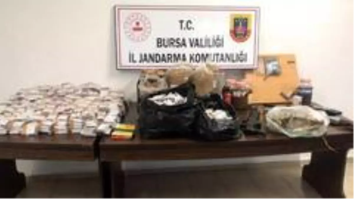 Bursa\'da jandarma ekipleri uyuşturucuya geçit vermiyor