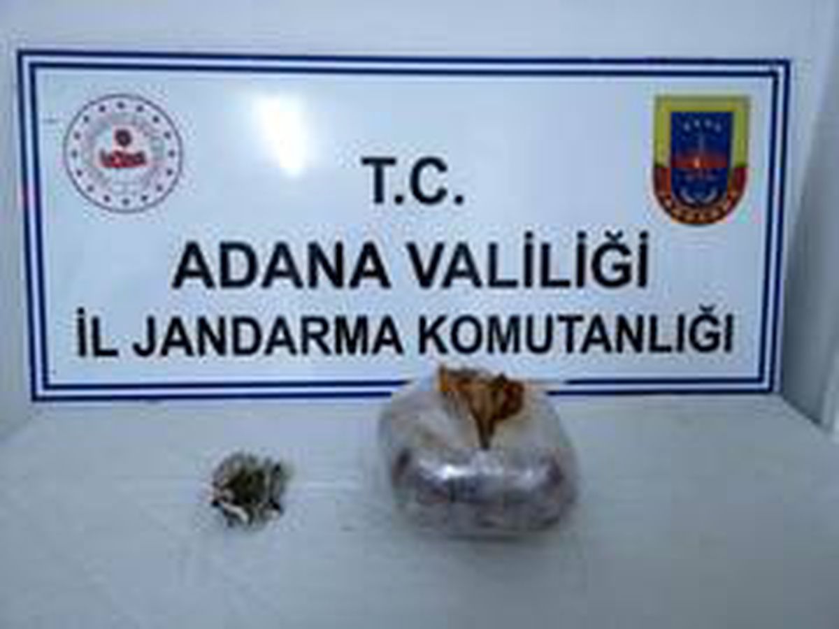 Ceyhan\'da uyuşturucu operasyonu: 2 gözaltı