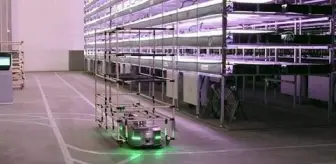 Danimarka'da 14 katlı 'dikey tarla' ile yılda 15 defa hasat yapılacak