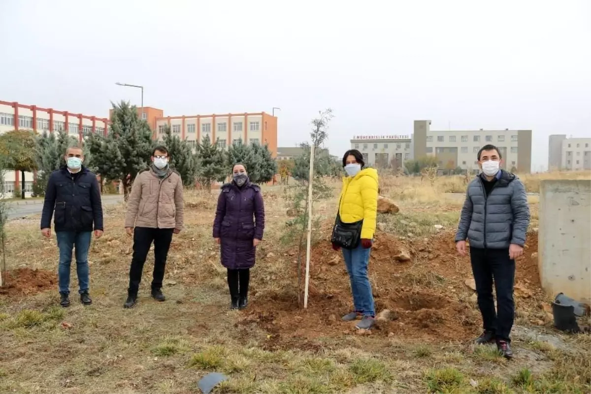 İletişimciler de fidan kampanyasına katıldı