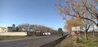 Tunus sokakları sosyoekonomik sorunlardan kaynaklı protestolarla 'ısındı'