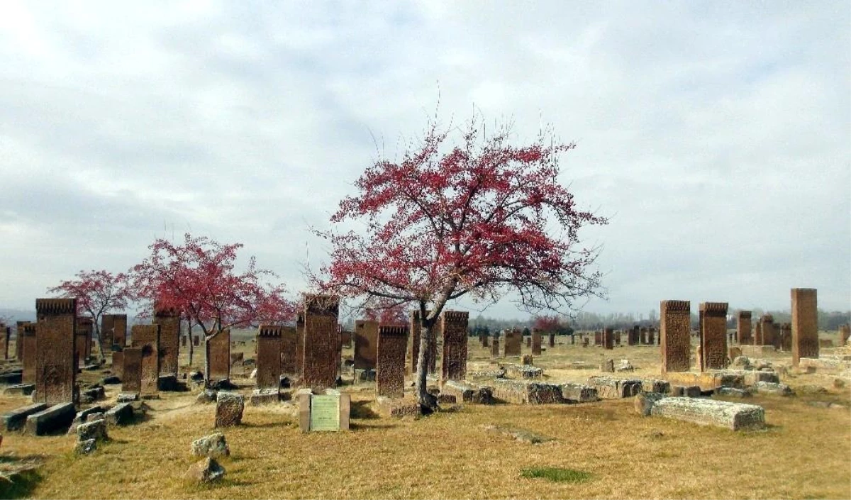 Açık hava müzesi Ahlat\'ın tarihi mekanları kısıtlamayla sessizliğe büründü