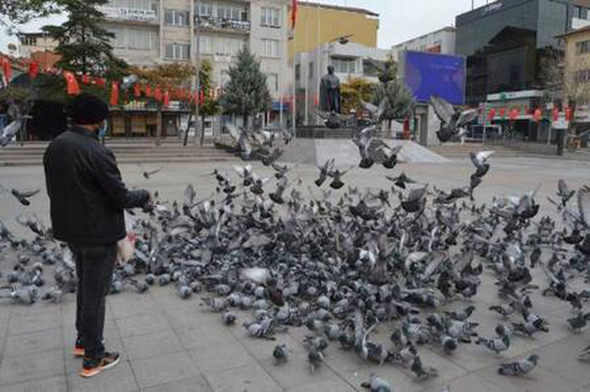 Aksaray\'da meydanlar güvercinlere kaldı