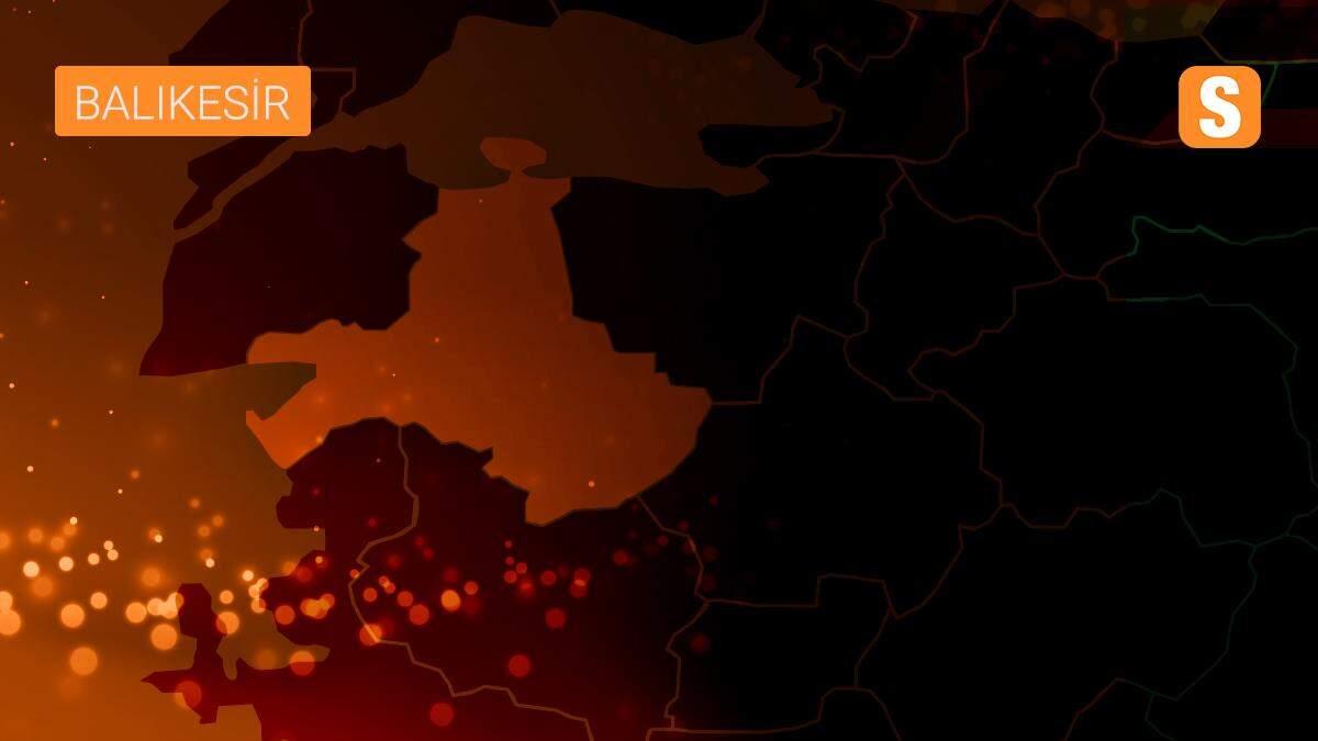 Balıkesir\'de sokak hayvanları için mama bırakıldı
