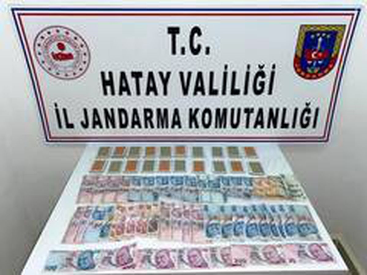 Son dakika... Hatay\'da jandarmadan kumar operasyonu