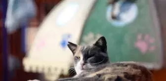 Mersin'de cadde, sokak ve meydanlar boş kaldı