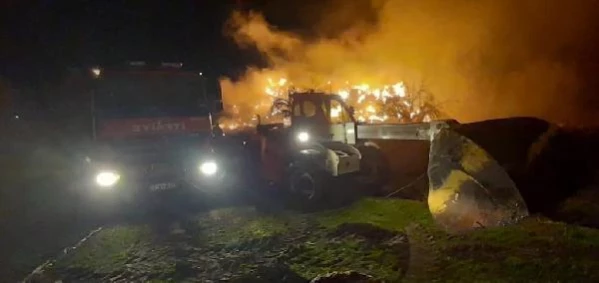 Son dakika haber... Samanlıkta çıkan yangın zeytin ağaçlarına sıçradı