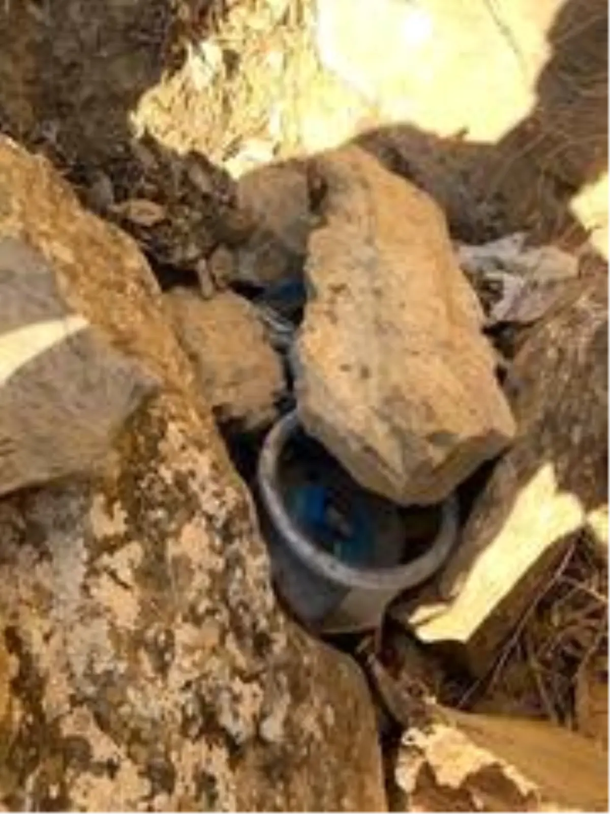 Van\'da terör operasyonu