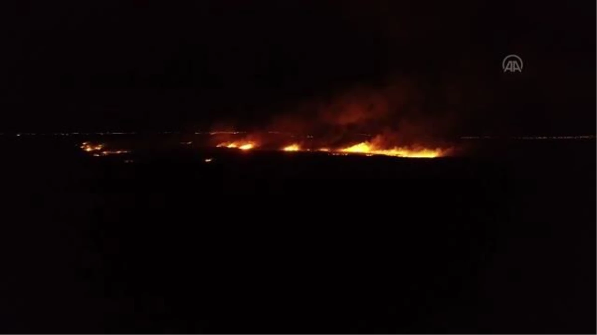 AFYONKARAHİSAR - Eber Gölü\'ndeki yangında yaklaşık 1,5 kilometrekare kamışlık arazi zarar gördü