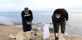 Erciş Belediyesi sokak hayvanlarını unutmadı