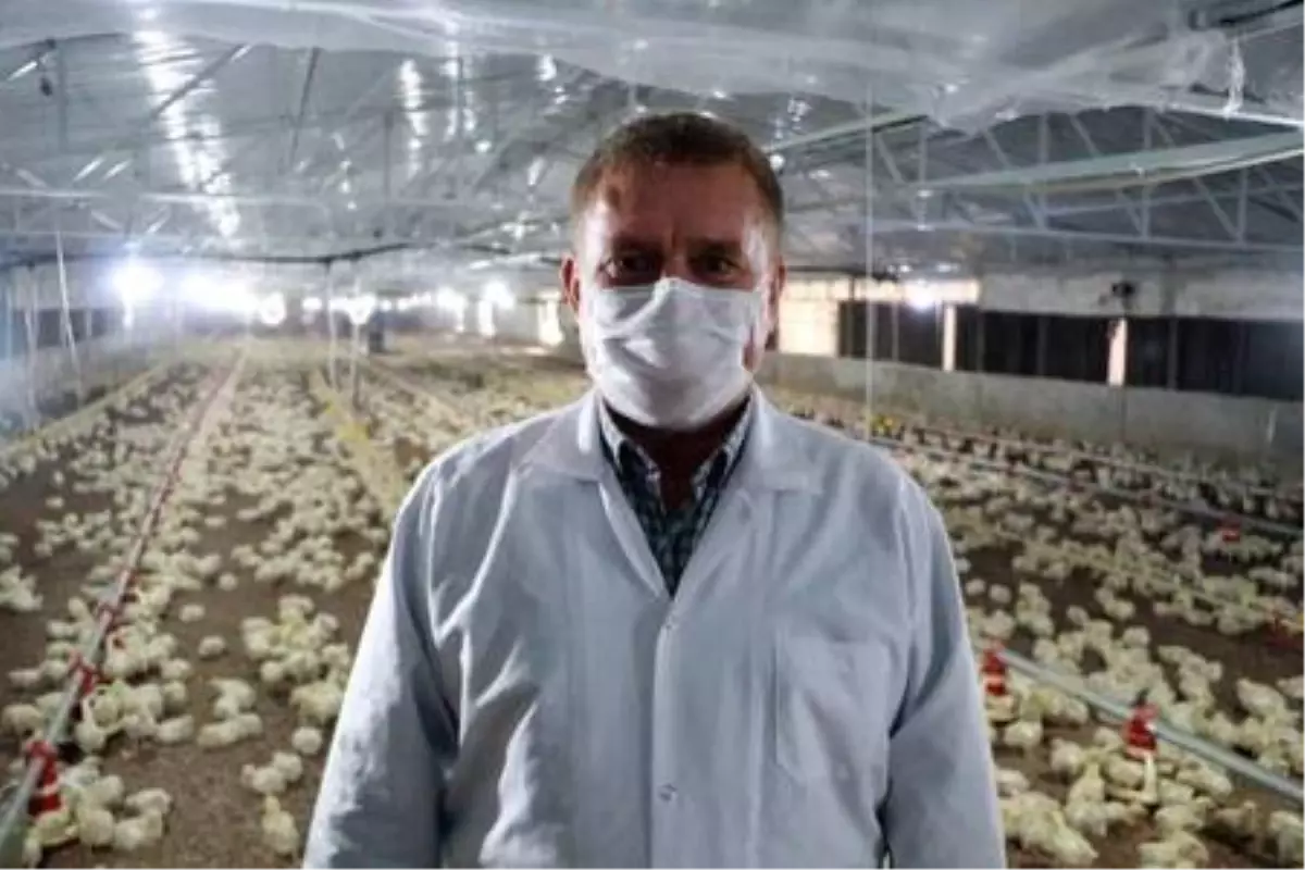 Adana Veteriner Hekimler Odası Başkanı Köse Koronavirüs aşılarının benzeri, hayvanlar üzerinde başarıya ulaştı