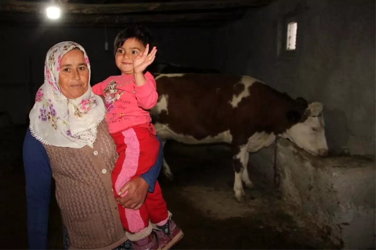 ORKÖY projesi ile 15 ailenin hayatı değişti