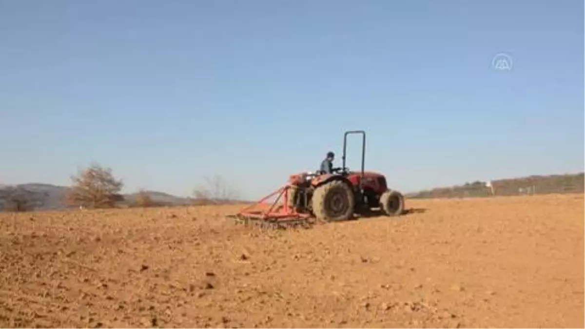 Son dakika haber | Sanattan aldığı ilhamla atıl arazileri tıbbi aromatik bitkilerle ekonomiye kazandırıyor