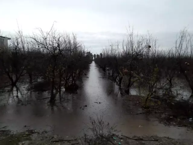 Antalya'da kuvvetli yağış sonrası seraları su bastı