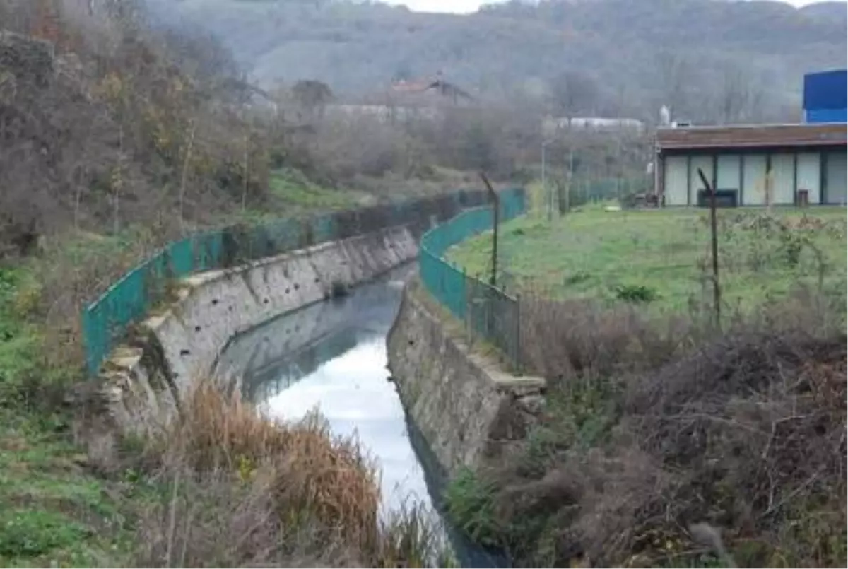 Bartın Irmağı\'ndaki kirliliğin nedeni, tekstil fabrikasıymış