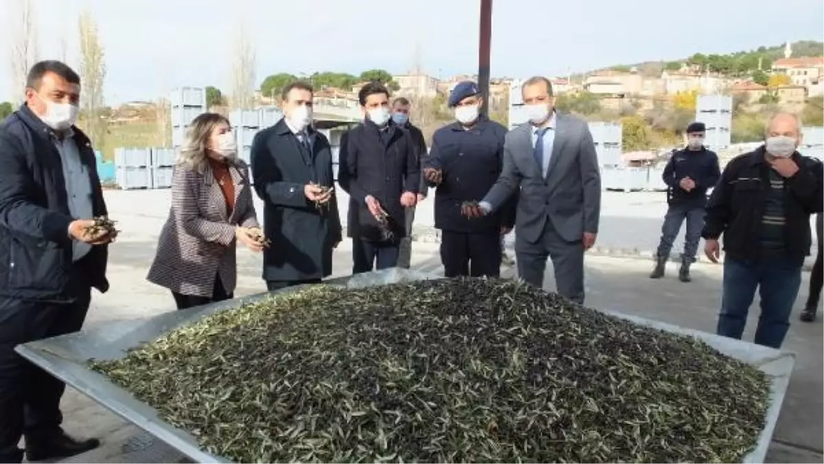 Balıkesir\'de 50 yıllık zeytinyağı fabrikası yüzde 65 hibe desteği ile yenilendi