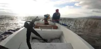 İznik Gölü'nde su çekildi, tarihi eser olduğu sanılan çapaya rastlanıldı