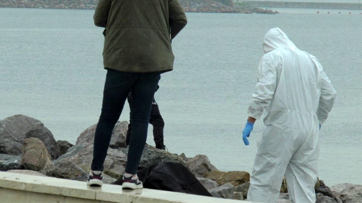 Pendik\'te sahilde denizden erkek cesedi çıkartıldı