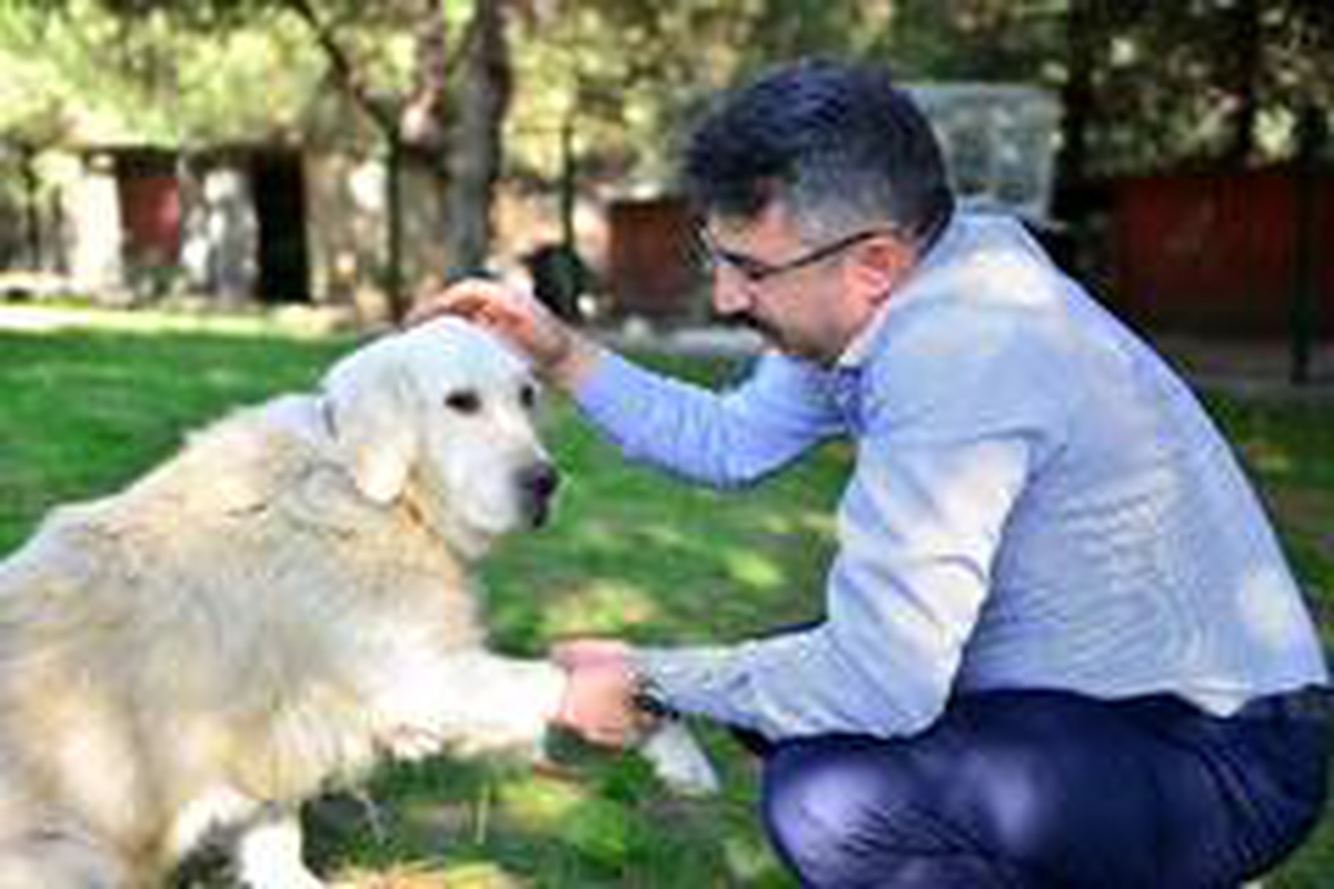 Yılmaz: "Sokak hayvanlarına sahip çıkıyoruz"