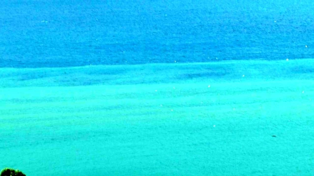 Bodrum'da denizin rengi değişti