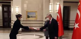 Cumhurbaşkanı Erdoğan, güven mektuplarını kabul etti