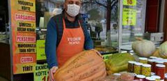 Dev kabaklar ilgi odağı oldu