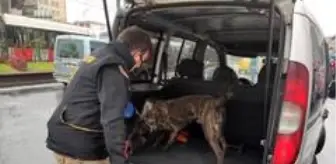 Fatih'te geniş çaplı 'narkotik' uygulaması