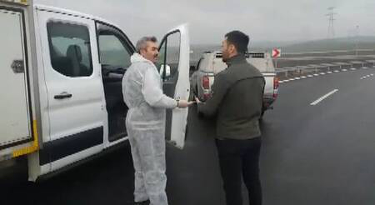İstanbul Büyükşehir Belediyesi ekipleri, sokak köpeklerini Gebze?ye bıraktı