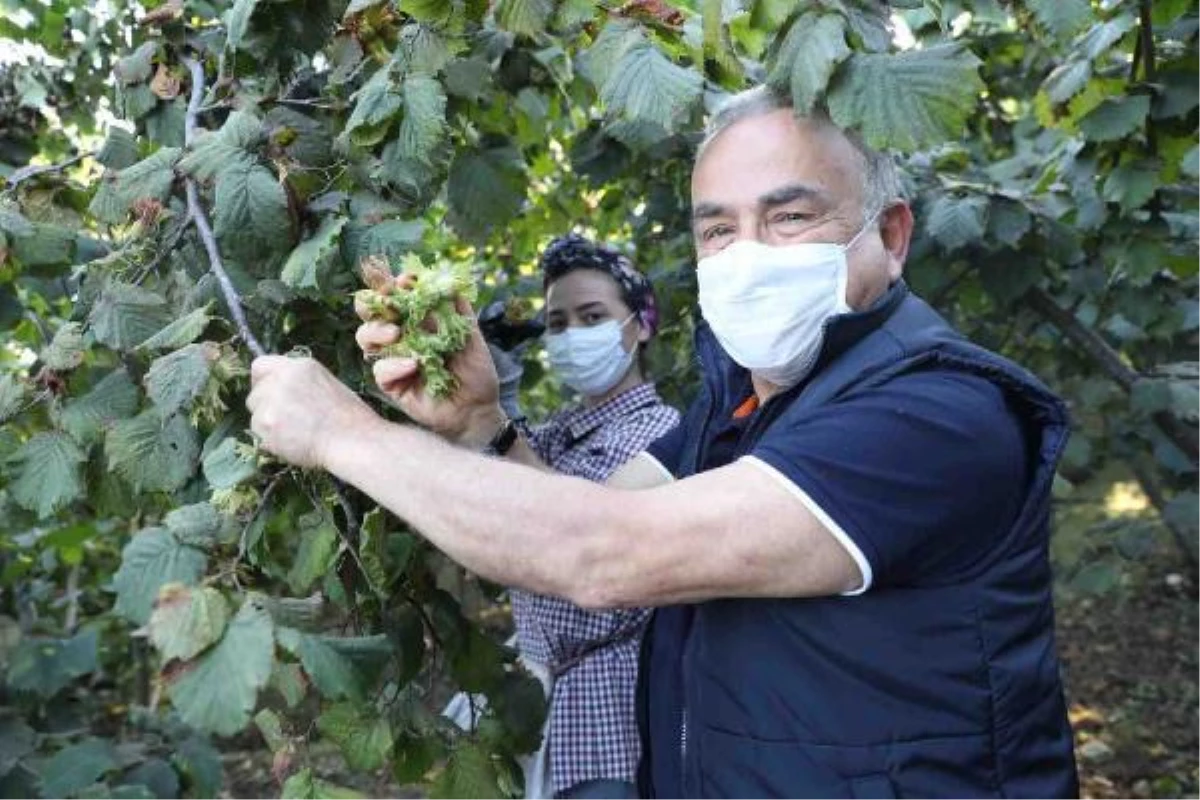 Son dakika haber... Başkan Güler\'den Bakan Pakdemirli\'ye \'süre uzatım\' teşekkürü