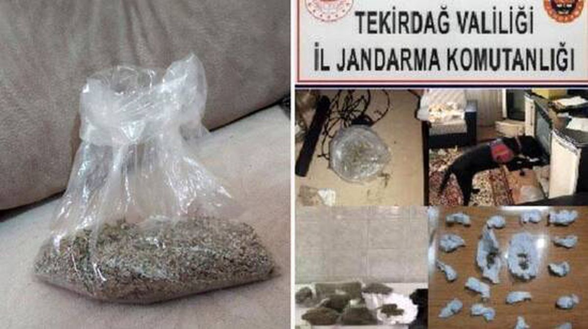 Esrarı "kimyon", bonzaiyi "kekik" şifresiyle satan çete çökertildi