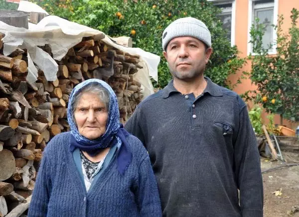 Haluk Levent, cinsel saldırıya uğrayan buzağı ve annesini satın aldı