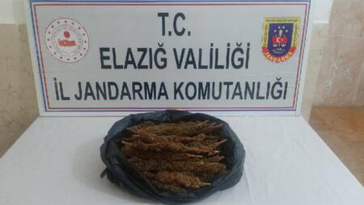 \'Kadeh\' tepki verdi uyuşturucu tacirleri yakalandı