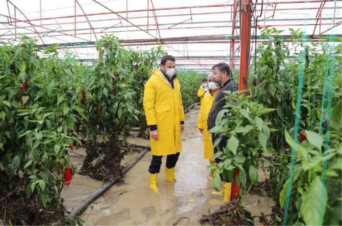 Kaş\'ta sel ve su baskınlarında 70 dönüm tarım arazisi zarar gördü