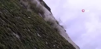 Şırnak'ta yosunlar dağları kapladı