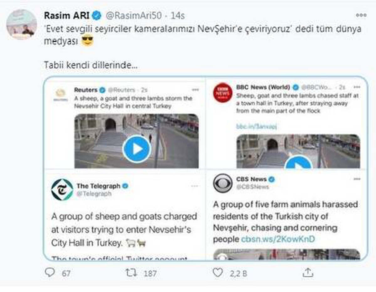 Belediye binasına girerken görüntülenen hayvanlar dünya basınında