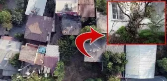 Mersin'in Tarsus ilçesindeki gizemli ev, definecilerin yeni adresi oldu