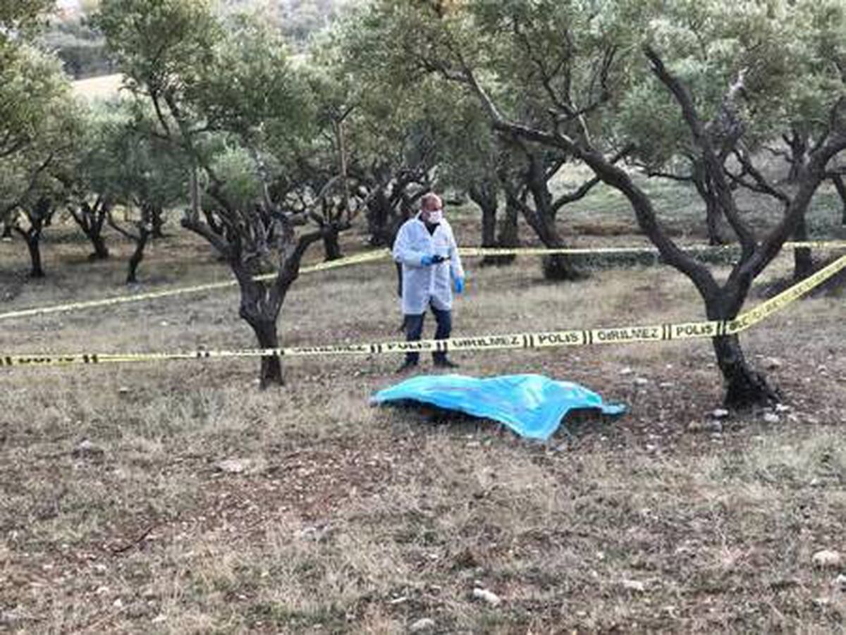 Zeytinlikte tabancyala intihar etti