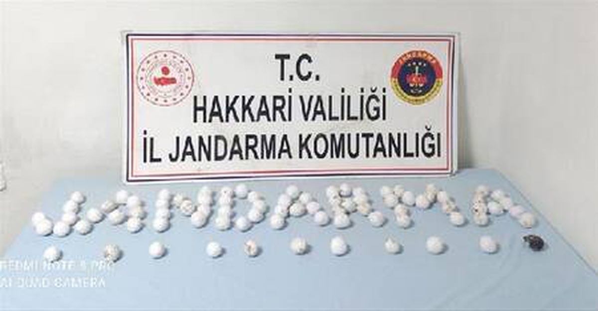 Hakkari\'de 5 kilo eroin, 5 bin paket kaçak sigara ele geçirildi