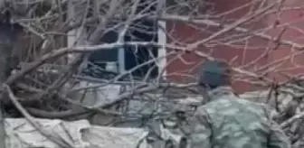 Köpeğini sopayla dövdü, 'Onu çok seviyorum, beni ondan ayırmayın' dedi