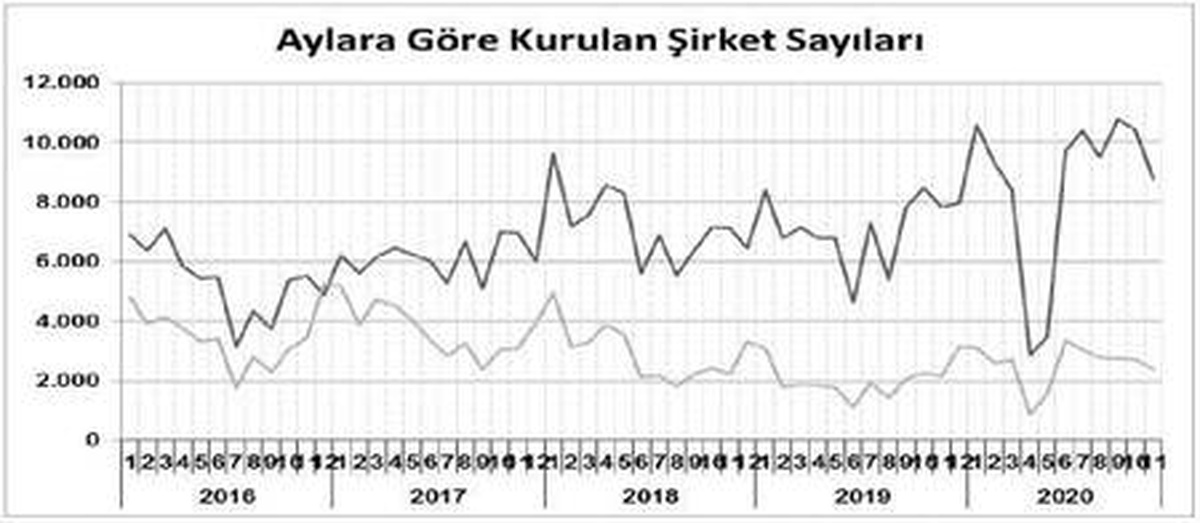 Kurulan şirketler Kasım\'da yıllık yüzde 12.13 arttı