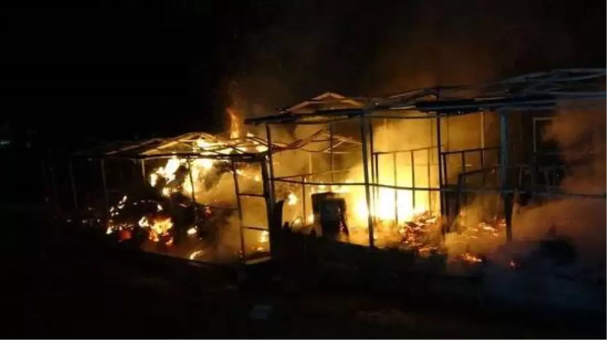 Ormanın içindeki ahırda çıkan yangında 10 at telef oldu