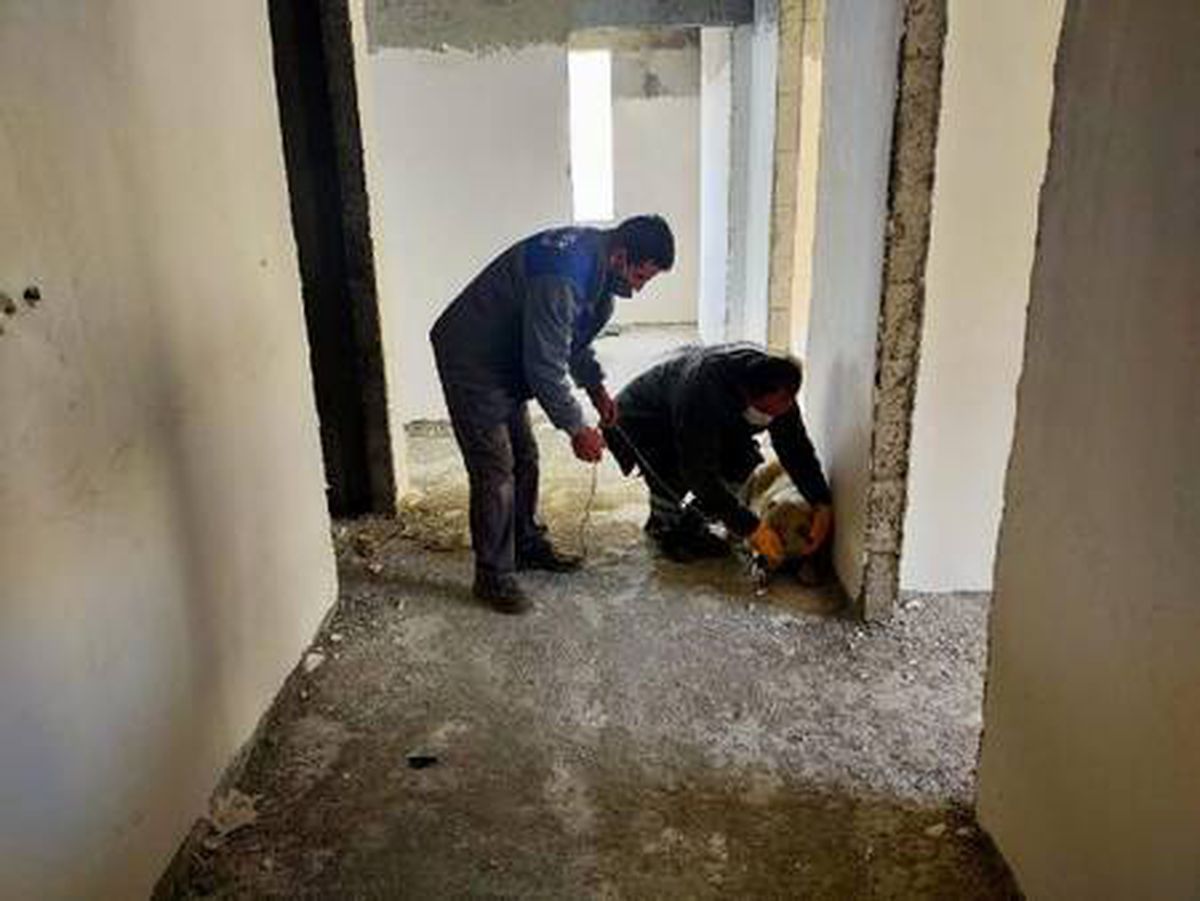 10 katlı inşaatın çatı katında mahsur kalan köpek kurtarıldı