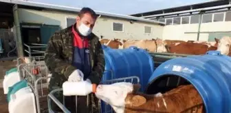 Devlet desteğiyle modern hayvancılık tesisleri yaygınlaşıyor