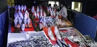 Karadeniz'de 'hamsi' ve 'sarıkanat' bolluğu